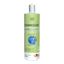 DERMOGEN XAMPU 500ML